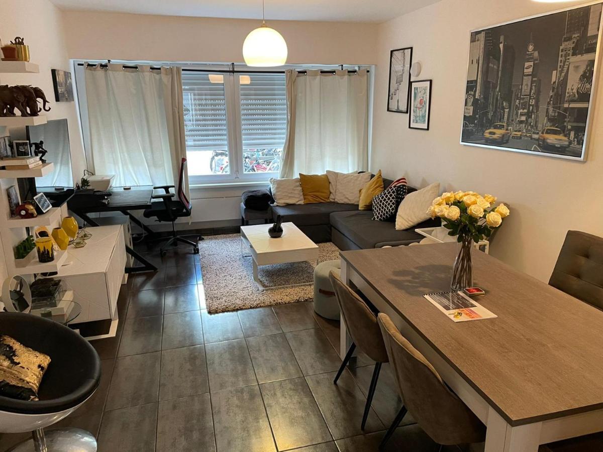 Modern With Garden In Antwerp, 15min From Center Antwerp